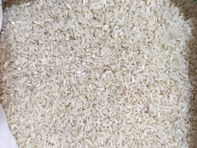 ۱۰ هزار تن برنج گیلان در انتظار مدیریت کاهش ضایعات  