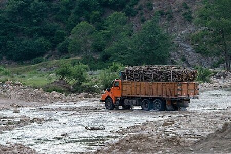 توقیف ۳ دستگاه کامیون حامل چوب آلات جنگلی قاچاق
