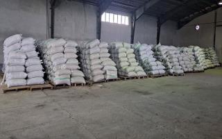 از مزرعه تا انبار؛ نظارت دقیق بر تولید و نگهداری بذر برنج در انبار بذر شرکت خدمات حمایتی کشاورزی استان گیلان