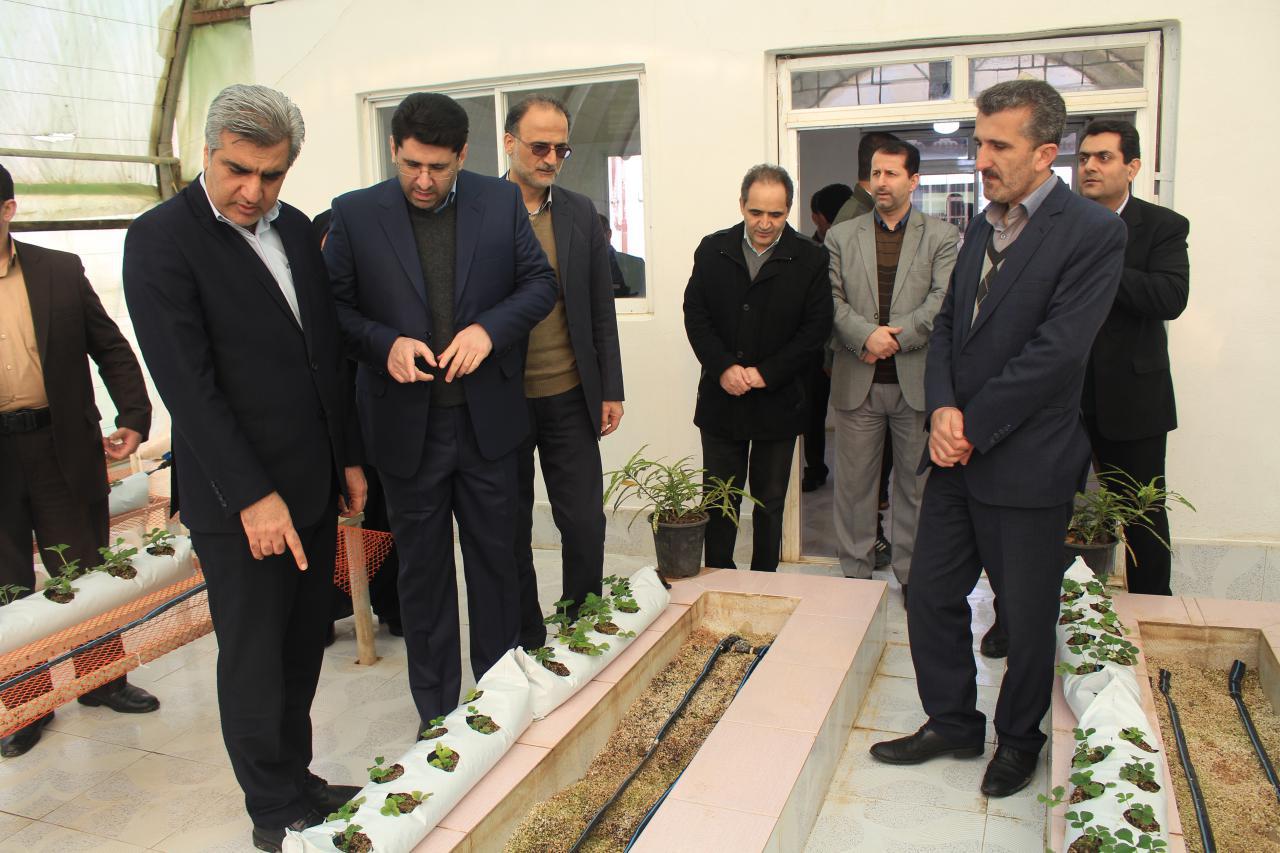 افتتاح نخستین مرکز آموزشی کشت بدون خاک در گیلان 