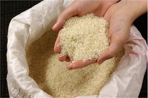 توزیع بیش از ۳۰۰تن برنج خارجی در گیلان