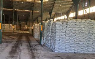 افزایش موجودی کود پتاس در گیلان؛ گامی در جهت تقویت تغذیه گیاهان و پایداری تولید