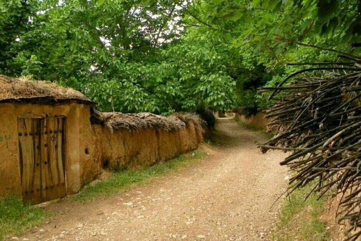 «باغات» در شناسنامه‌دار شدن در اولویت هستند